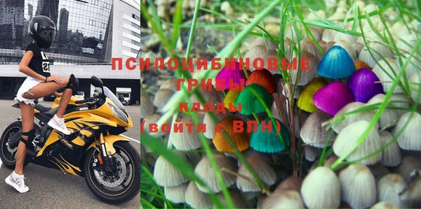 прущий лед Вязьма