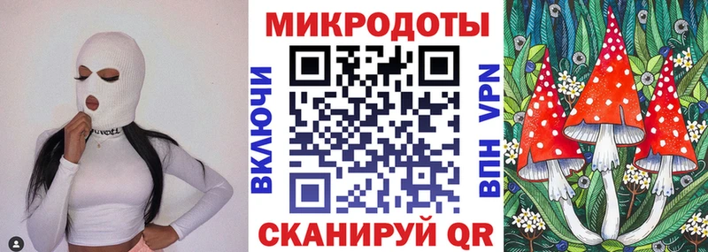 Галлюциногенные грибы Psilocybe  Новошахтинск 