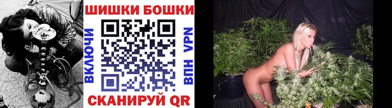 Каннабис индика как найти наркотики Новошахтинск